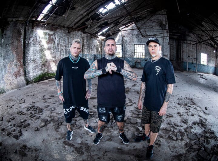 A.N.I.M.A.L. culpables