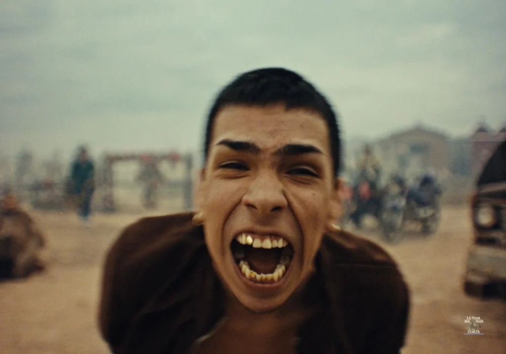 Video Prisma Awards 2026